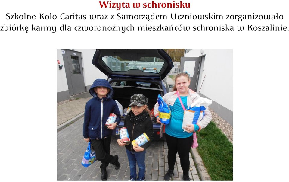 zorganizowało zbiórkę karmy dla