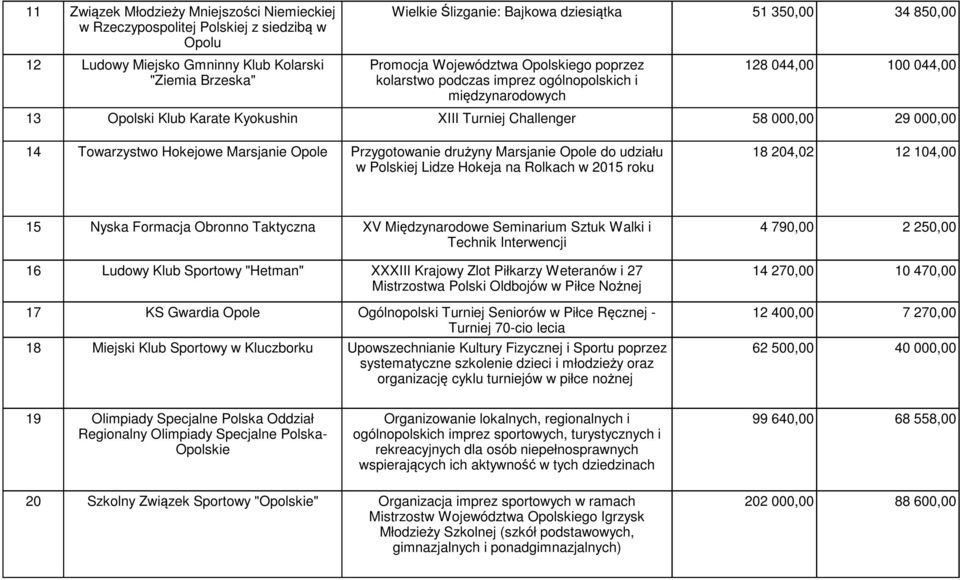 29 000,00 14 Towarzystwo Hokejowe Marsjanie Opole Przygotowanie drużyny Marsjanie Opole do udziału w Polskiej Lidze Hokeja na Rolkach w 2015 roku 18 204,02 12 104,00 15 Nyska Formacja Obronno