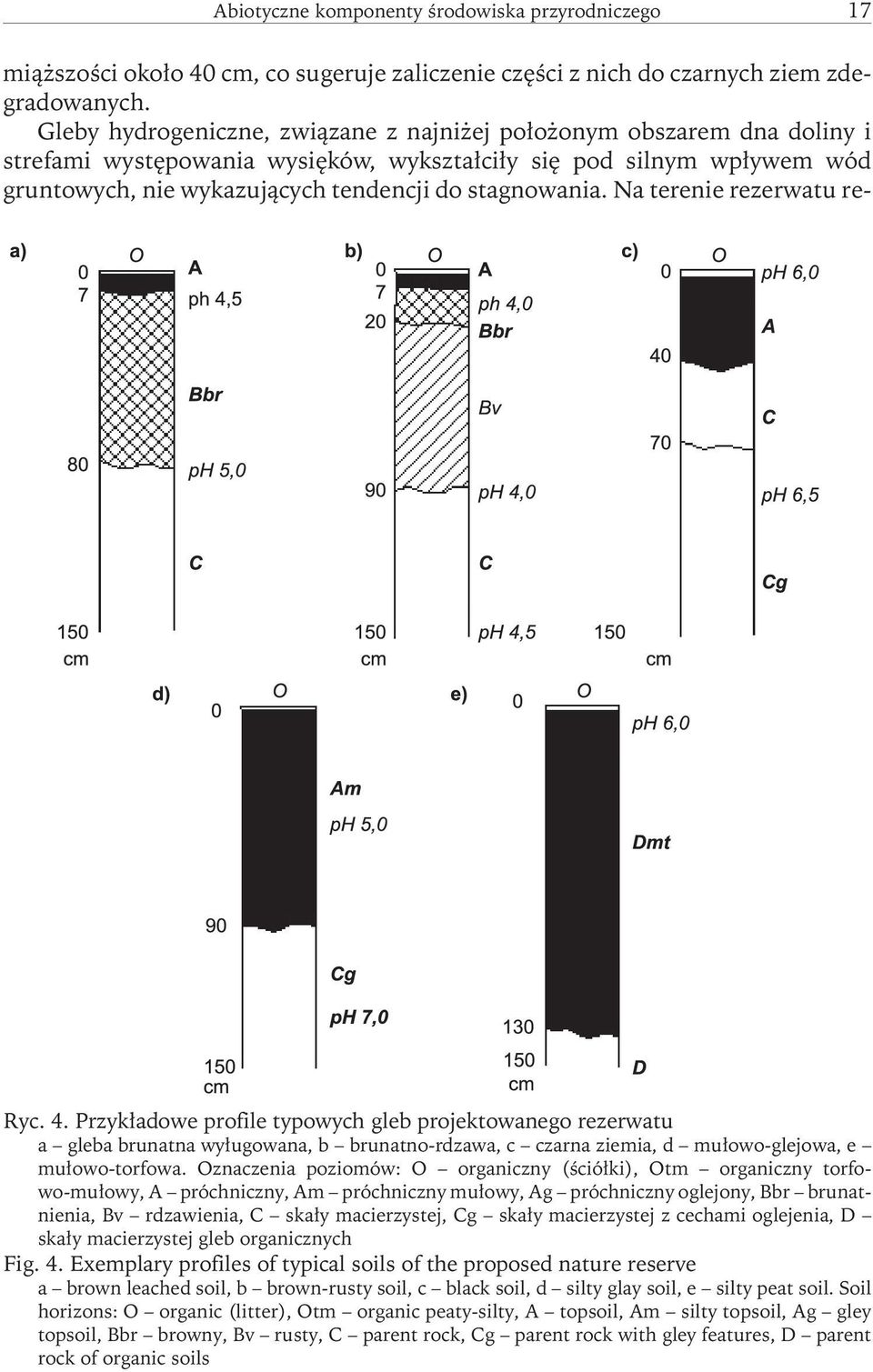 Na terenie rezerwatu re- Ryc. 4. Przykładowe profile typowych gleb projektowanego rezerwatu a gleba brunatna wyługowana, b brunatno-rdzawa, c czarna ziemia, d mułowo-glejowa, e mułowo-torfowa.