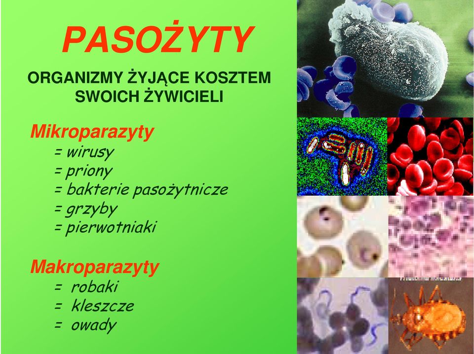 = bakterie pasoŝytnicze = grzyby =