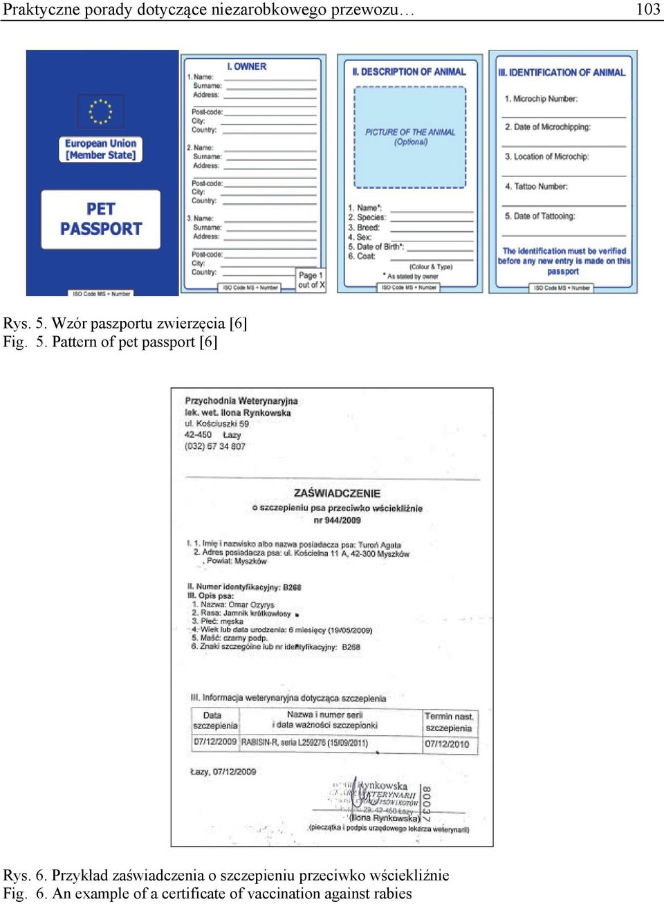 Pattern of pet passport [6] Rys. 6.