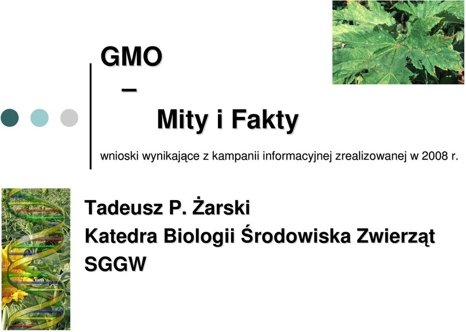 zrealizowanej w 2008 r. Tadeusz P.