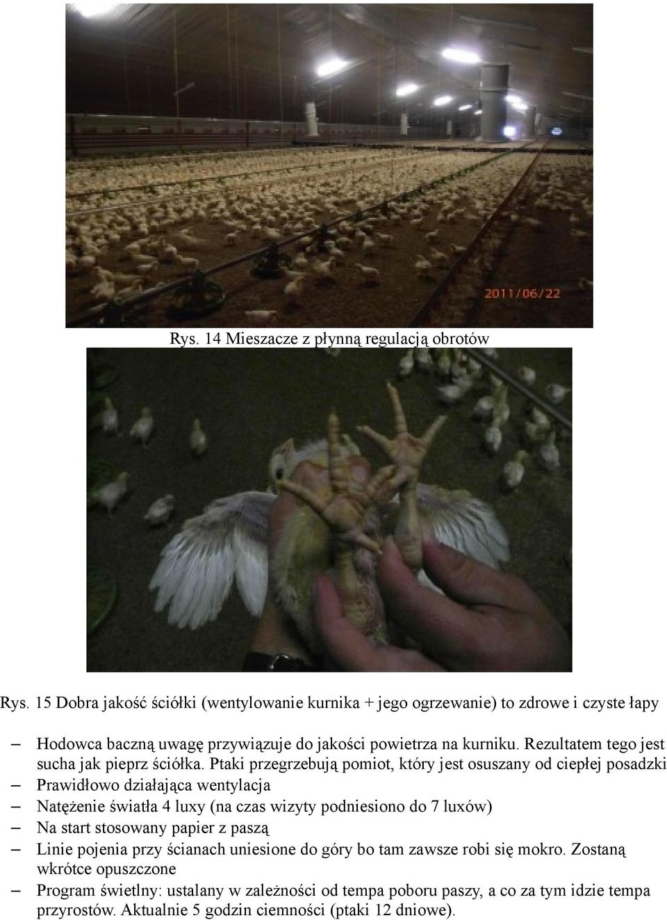 Rezultatem tego jest sucha jak pieprz ściółka.