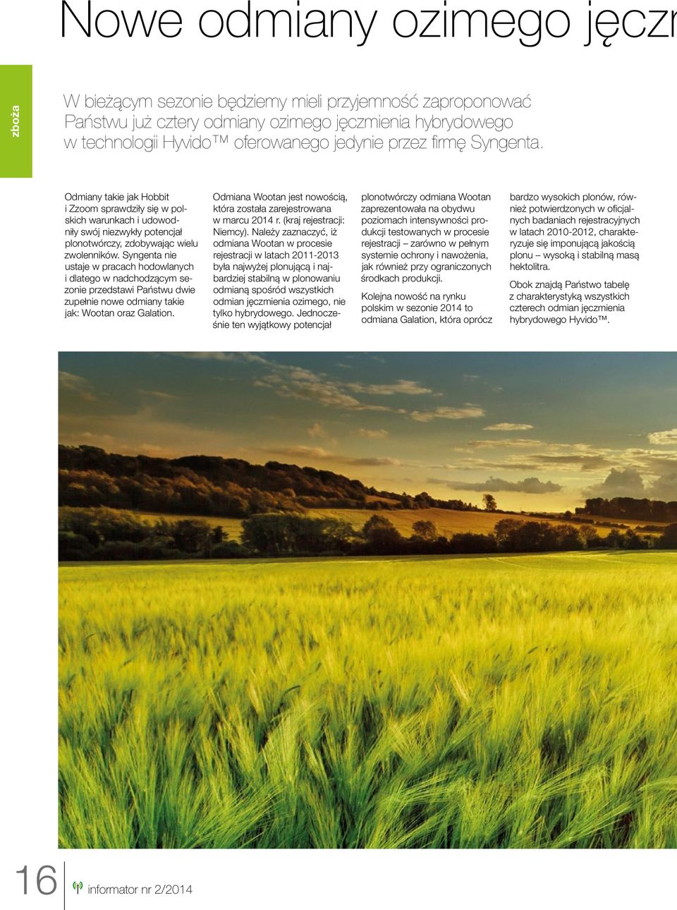 Syngenta nie ustaje w pracach hodowlanych i dlatego w nadchodzącym sezonie przedstawi Państwu dwie zupełnie nowe odmiany takie jak: Wootan oraz Galation.