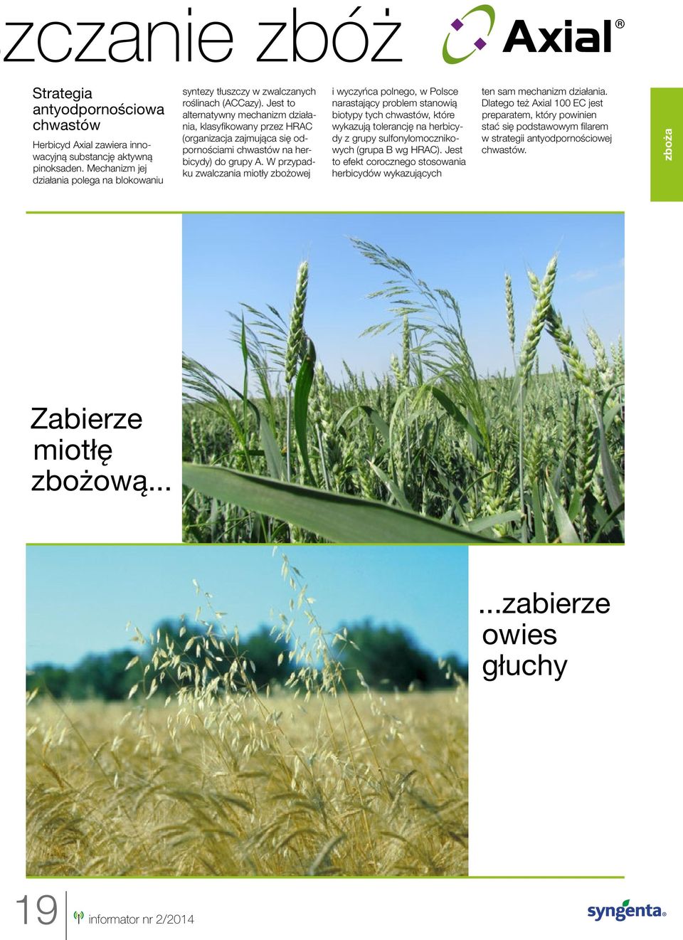 Jest to alternatywny mechanizm działania, klasyfikowany przez HRAC (organizacja zajmująca się odpornościami chwastów na herbicydy) do grupy A.