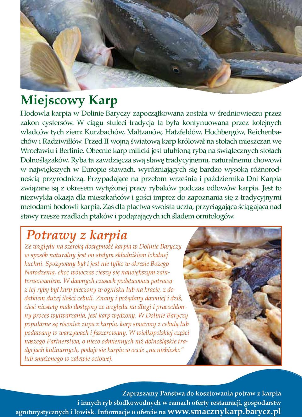Przed II wojną światową karp królował na stołach mieszczan we Wrocławiu i Berlinie. Obecnie karp milicki jest ulubioną rybą na świątecznych stołach Dolnoślązaków.