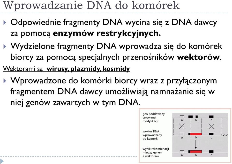 Wydzielone fragmenty DNA wprowadza się do komórek biorcy za pomocą specjalnych przenośników wektorów.