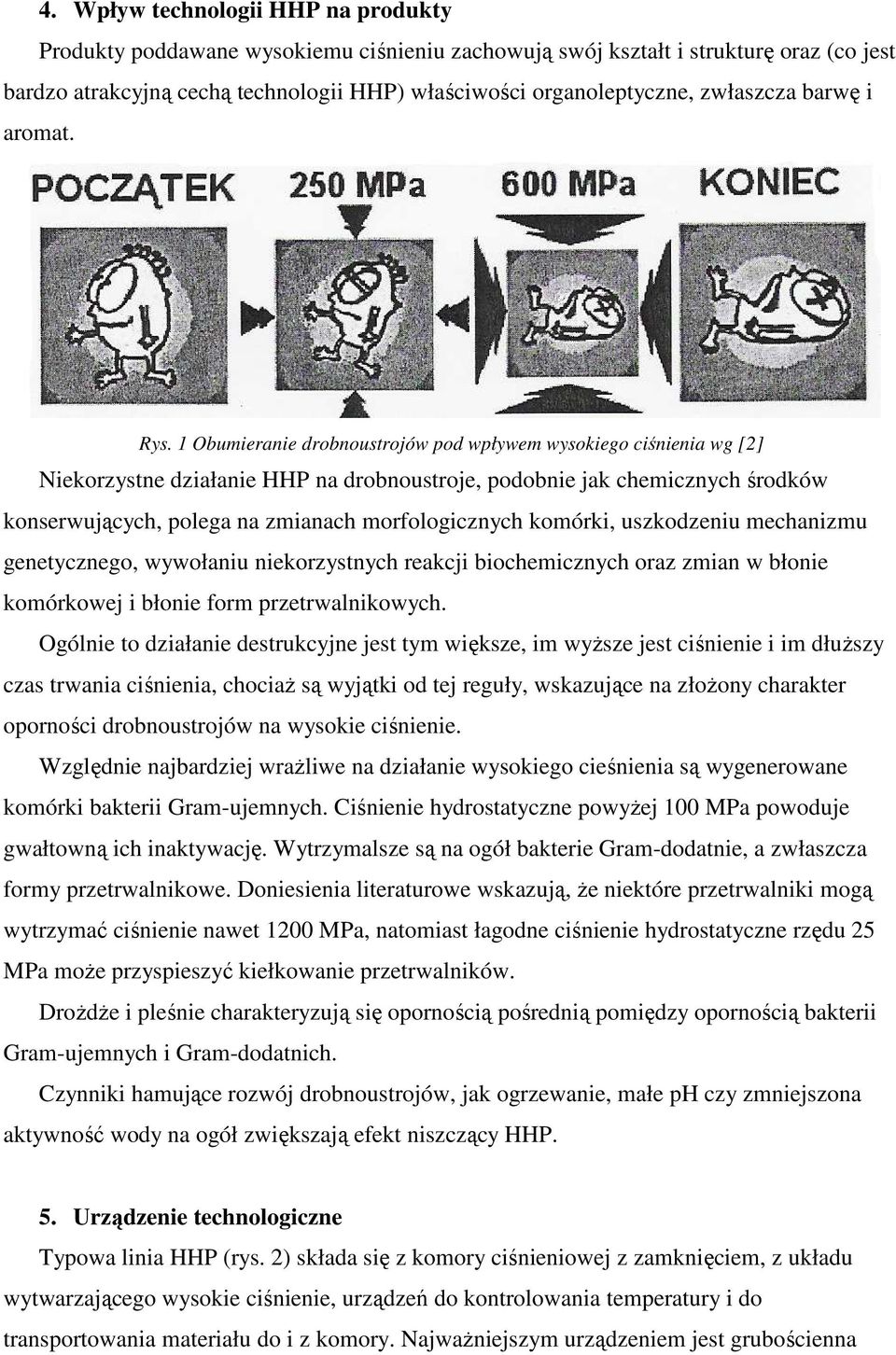 1 Obumieranie drobnoustrojów pod wpływem wysokiego ciśnienia wg [2] Niekorzystne działanie HHP na drobnoustroje, podobnie jak chemicznych środków konserwujących, polega na zmianach morfologicznych