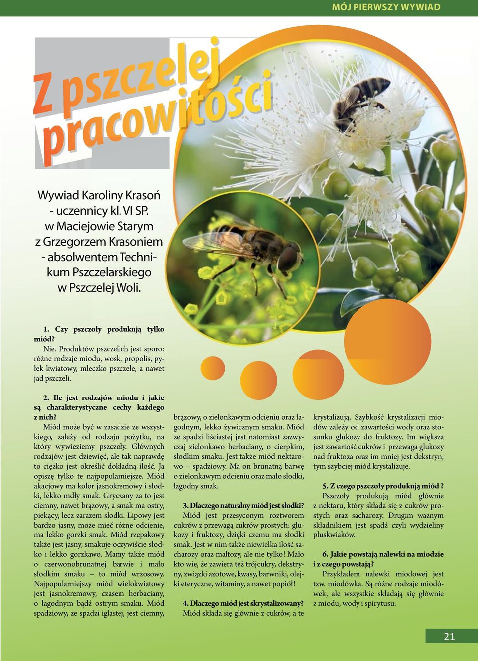 Ile jest rodzajów miodu i jakie są charakterystyczne cechy każdego z nich? Miód może być w zasadzie ze wszystkiego, zależy od rodzaju pożytku, na który wywieziemy pszczoły.