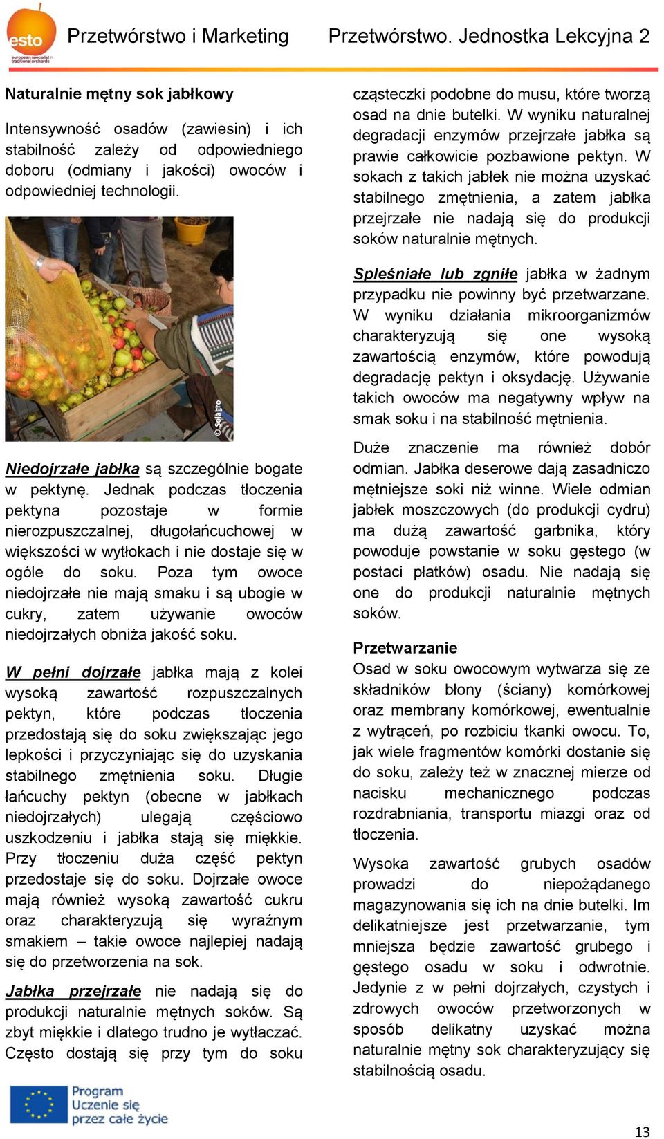 cząsteczki podobne do musu, które tworzą osad na dnie butelki. W wyniku naturalnej degradacji enzymów przejrzałe jabłka są prawie całkowicie pozbawione pektyn.