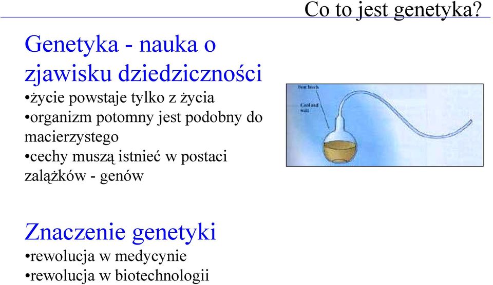 z życia organizm potomny jest podobny do macierzystego cechy