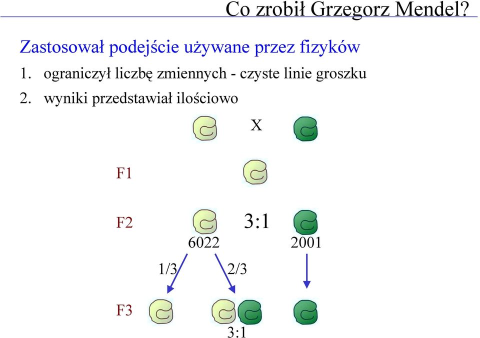 ograniczył liczbę zmiennych - czyste linie