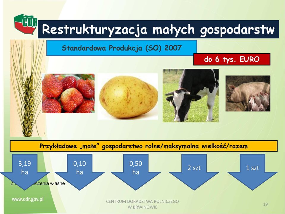 EURO Przykładowe małe gospodarstwo rolne/maksymalna