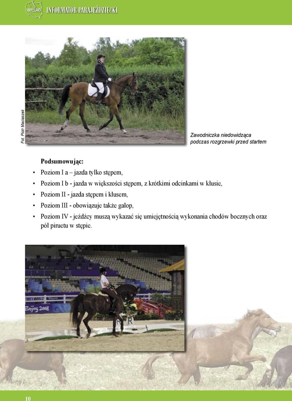 kłusie, Poziom II - jazda stępem i kłusem, Poziom III - obowiązuje także galop, Poziom IV -