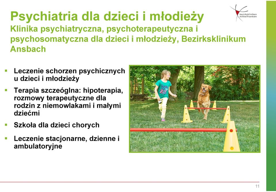 psychicznych u dzieci i młodzieży Terapia szczeóglna: hipoterapia, rozmowy terapeutyczne dla