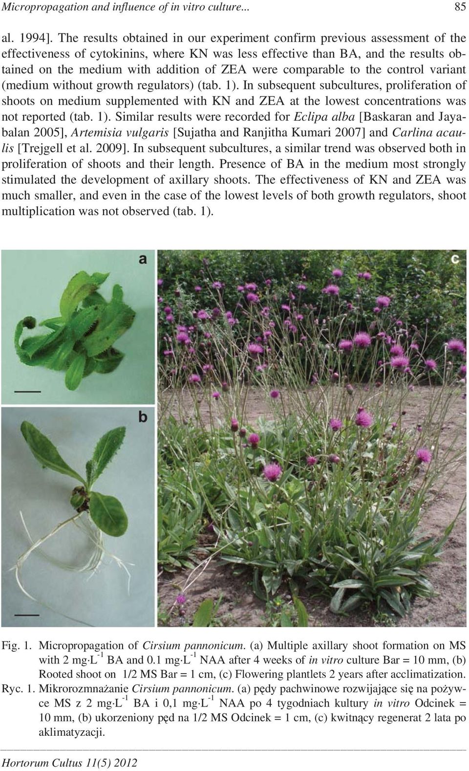 were comparable to the control variant (medium without growth regulators) (tab. 1).