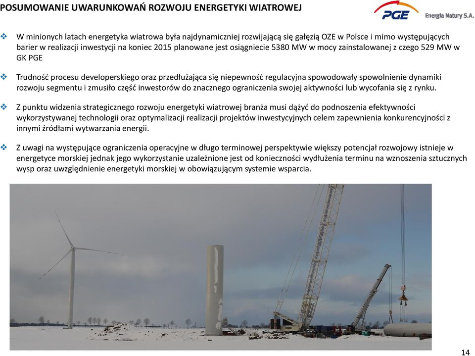 spowolnienie dynamiki rozwoju segmentu i zmusiło część inwestorów do znacznego ograniczenia swojej aktywności lub wycofania się z rynku.