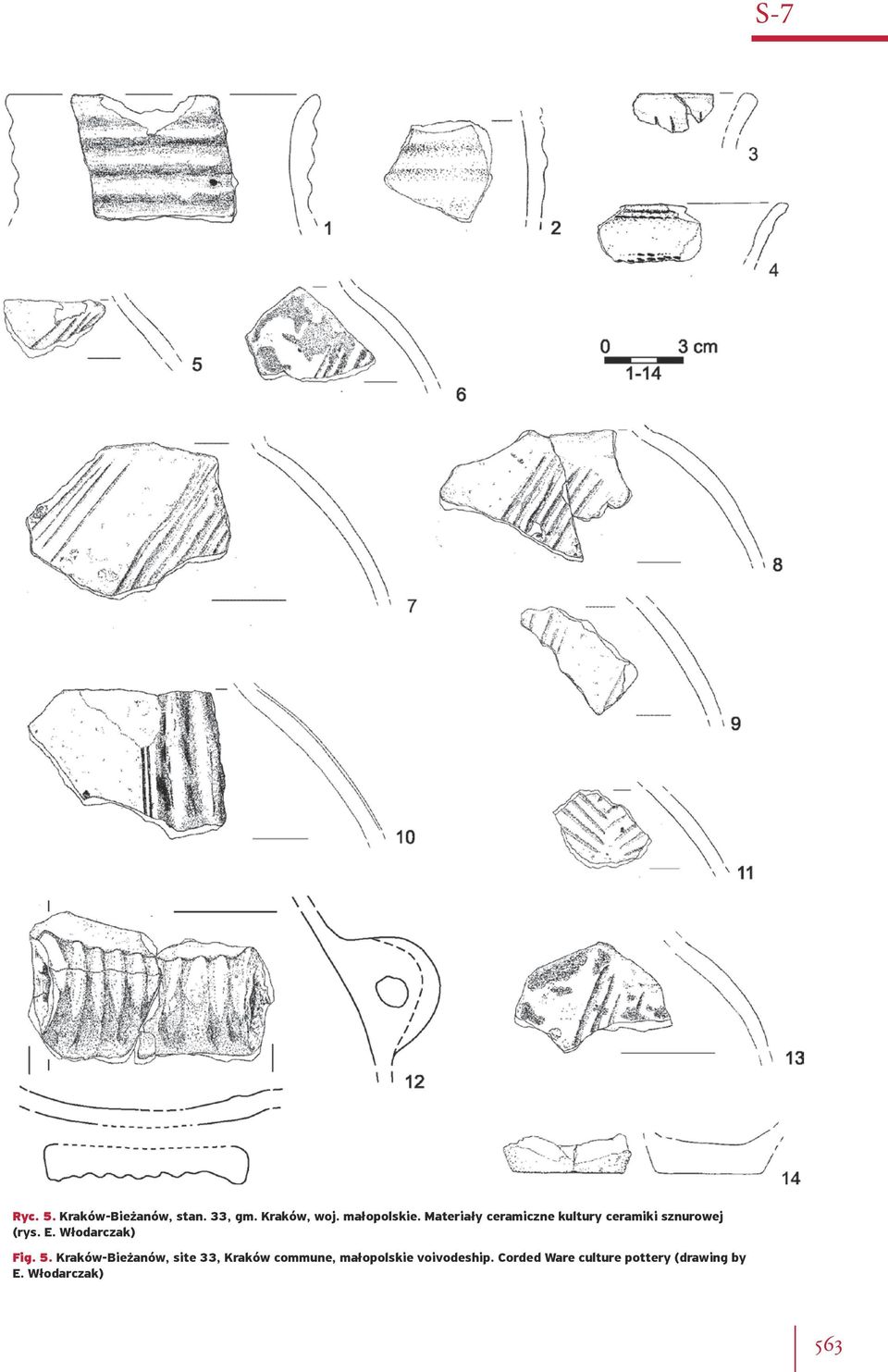 Włodarczak) Fig. 5.