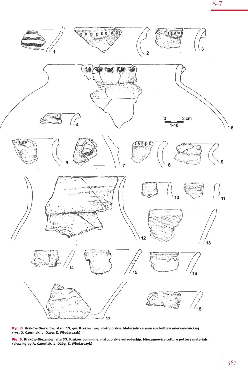 Włodarczak) Fig. 8.