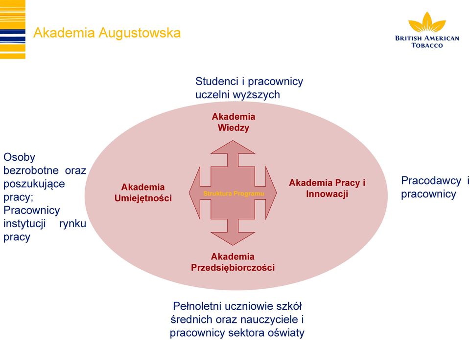 Umiejętności Struktura Programu Akademia Pracy i Innowacji Pracodawcy i pracownicy