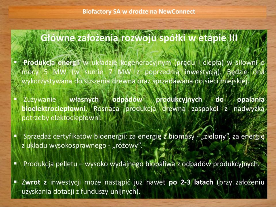 Rosnąca produkcja drewna zaspokoi z nadwyżką potrzeby elektociepłowni.