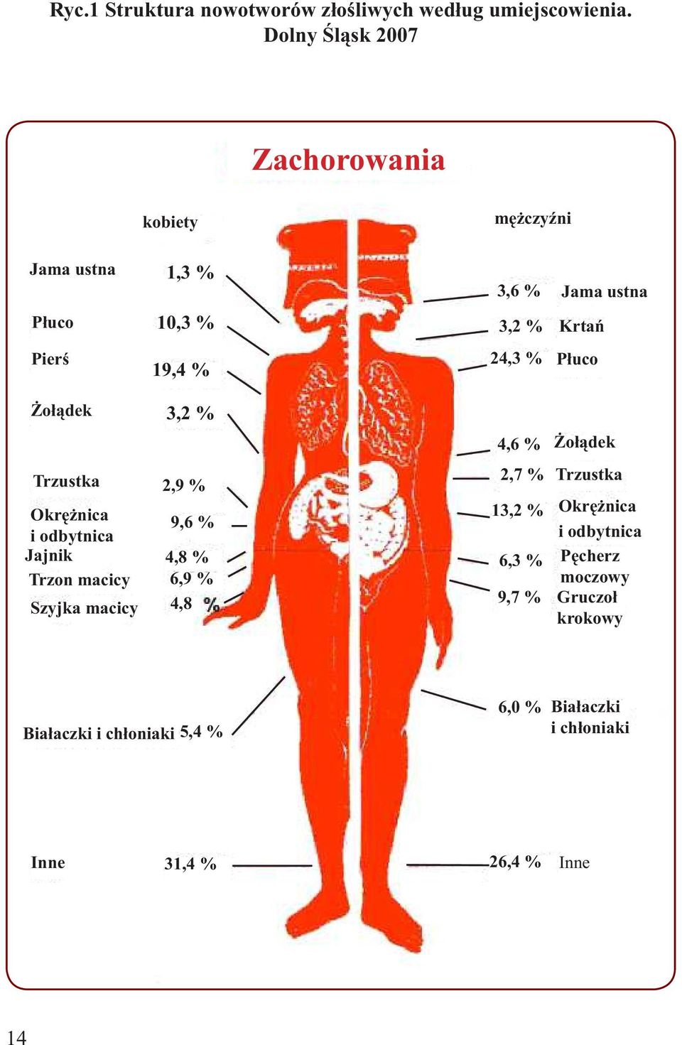 Trzon macicy Szyjka macicy 1,3 % 10,3 % 19,4 % 3,2 % 2,9 % 9,6 % 4,8 % 6,9 % 4,8 3,6 % Jama ustna 3,2 % Krtań 24,3 %