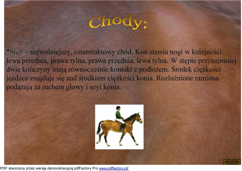 W stępie przynajmniej dwie kończyny mają równocześnie kontakt z podłożem.