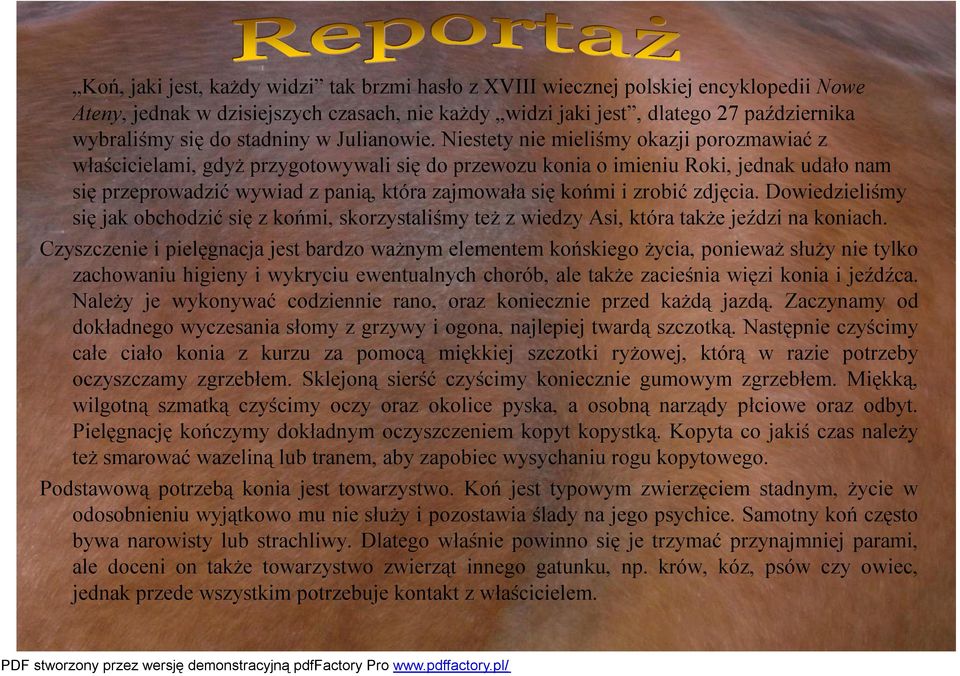 Niestety nie mieliśmy okazji porozmawiać z właścicielami, gdyż przygotowywali się do przewozu konia o imieniu Roki, jednak udało nam się przeprowadzić wywiad z panią, która zajmowała się końmi i
