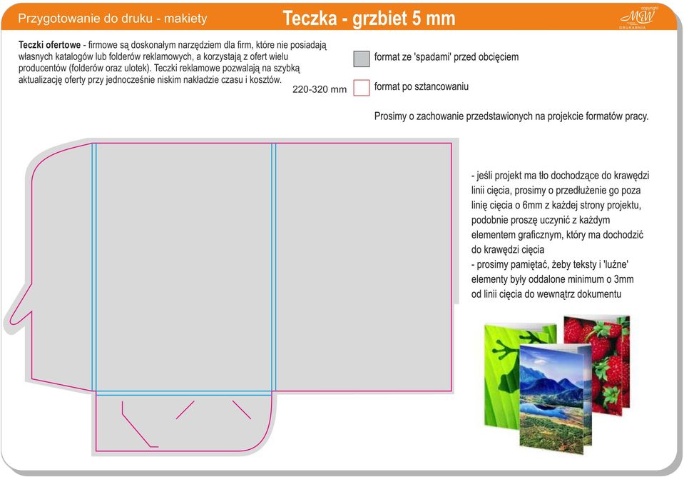 producentów (folderów oraz ulotek).