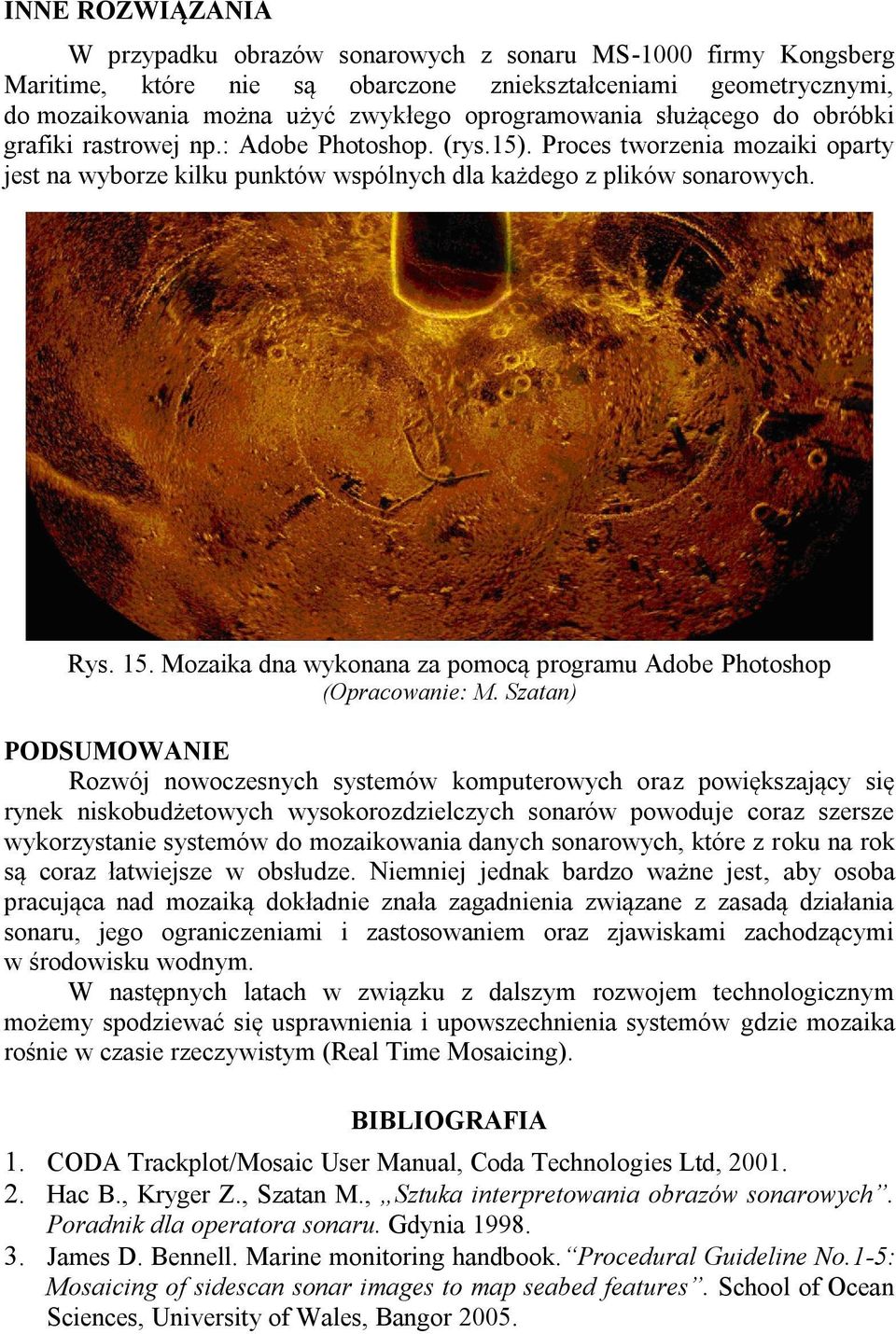 Mozaika dna wykonana za pomocą programu Adobe Photoshop (Opracowanie: M.