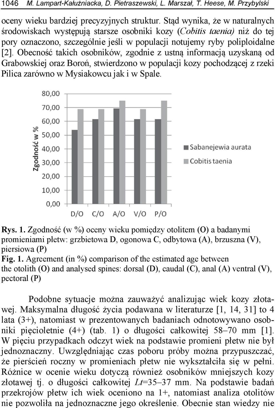 Obecność takich osobników, zgodnie z ustną informacją uzyskaną od Grabowskiej oraz Boroń, stwierdzono w populacji kozy pochodzącej z rzeki Pilica zarówno w Mysiakowcu jak i w Spale. Rys. 1.