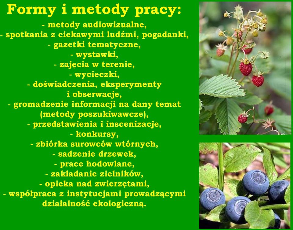 (metody poszukiwawcze), - przedstawienia i inscenizacje, - konkursy, - zbiórka surowców wtórnych, - sadzenie drzewek, -