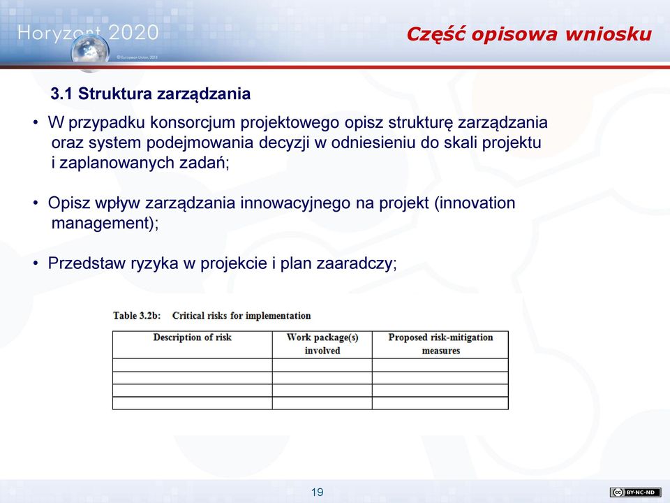 zarządzania oraz system podejmowania decyzji w odniesieniu do skali projektu i