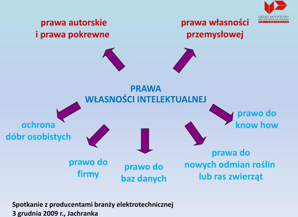 INTELEKTUALNEJ prawo do firmy prawo do baz danych