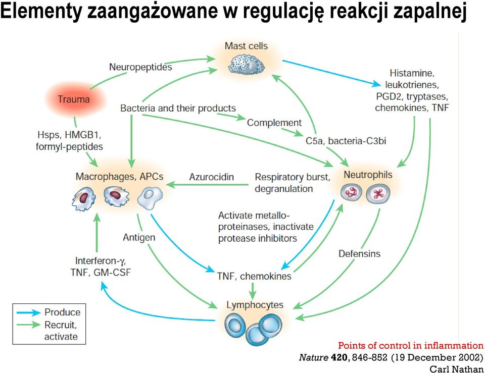 control in inflammation Nature