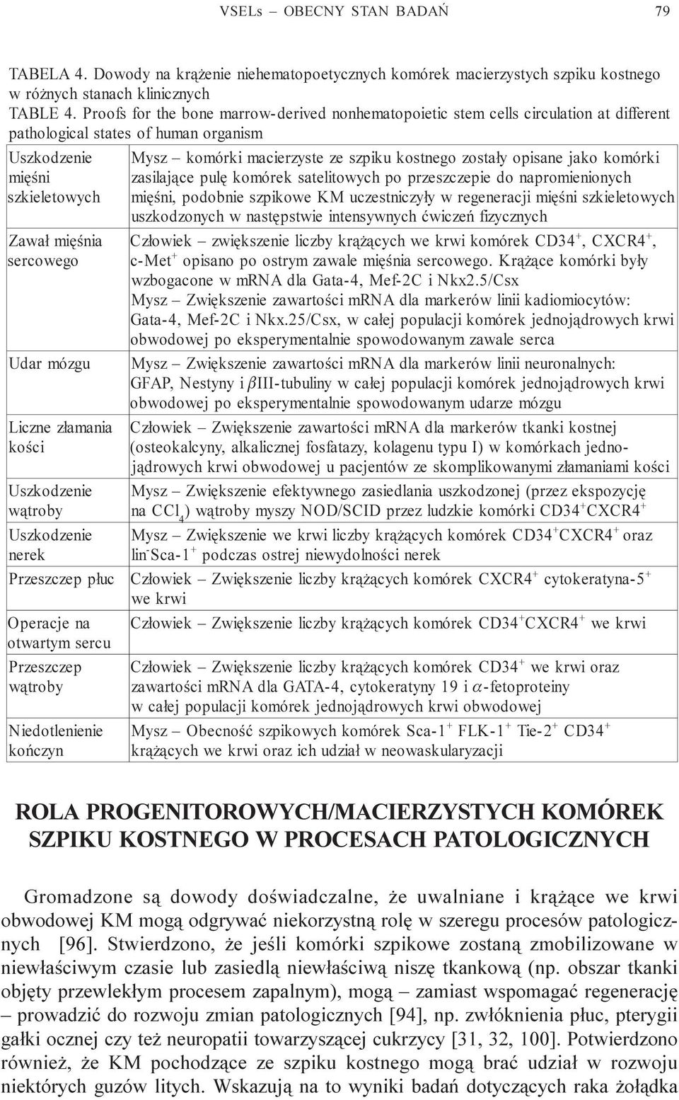 jako komórki miêœni zasilaj¹ce pulê komórek satelitowych po przeszczepie do napromienionych szkieletowych miêœni podobnie szpikowe KM uczestniczy³y w regeneracji miêœni szkieletowych uszkodzonych w