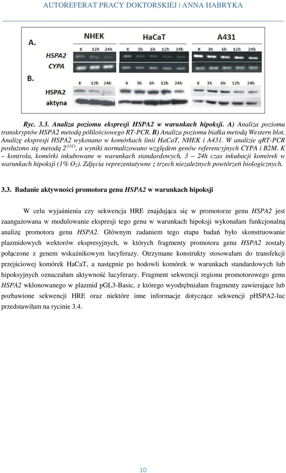 K kontrola, komórki inkubowane w warunkach standardowych, 3 