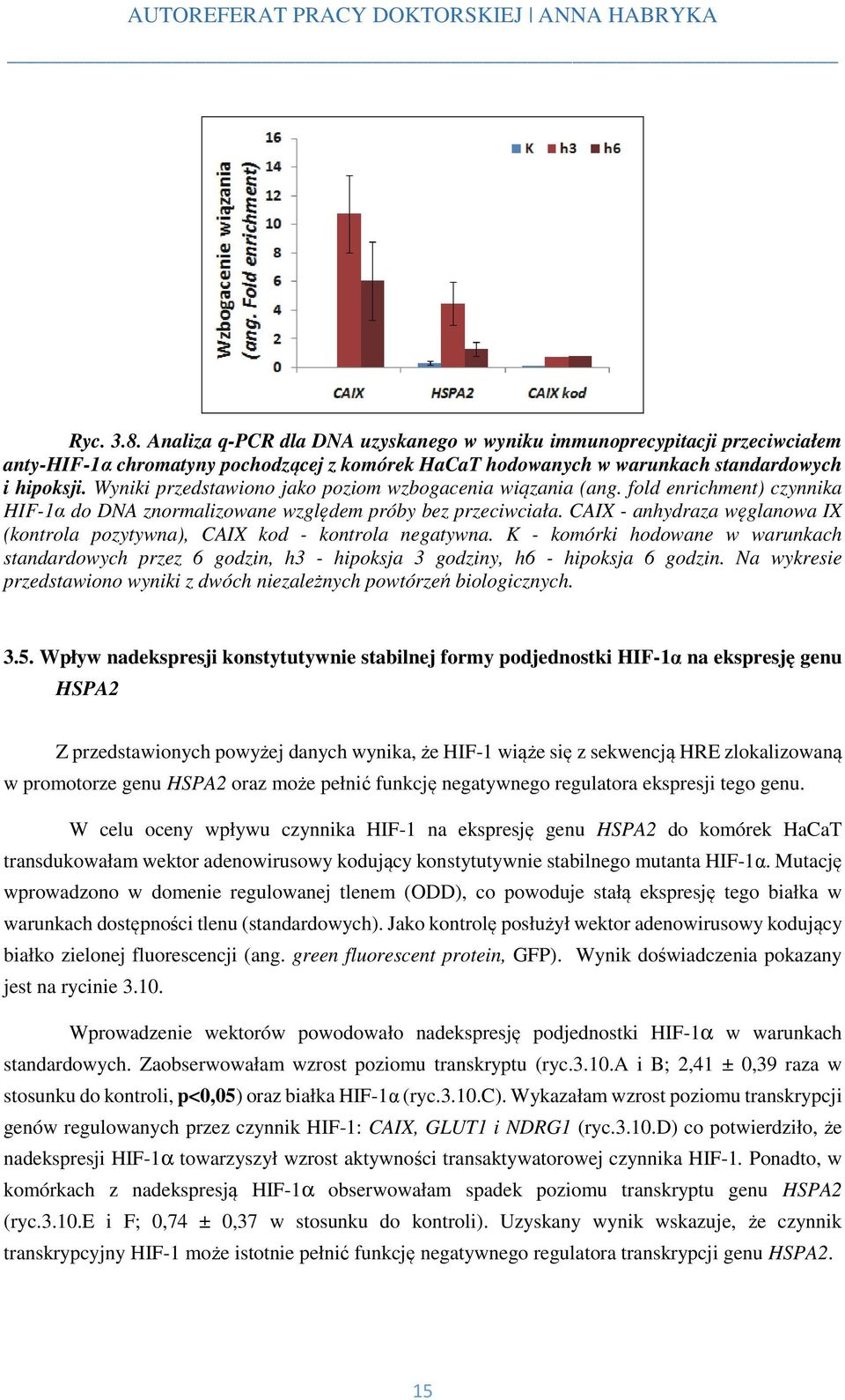 CAIX - anhydraza węglanowa IX (kontrola pozytywna), CAIX kod - kontrola negatywna. K - komórki hodowane w warunkach standardowych przez 6 godzin, h3 - hipoksja 3 godziny, h6 - hipoksja 6 godzin.