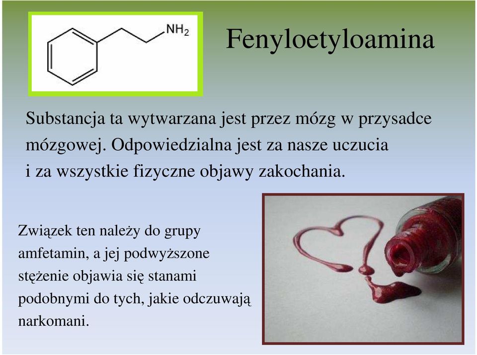 Odpowiedzialna jest za nasze uczucia i za wszystkie fizyczne objawy