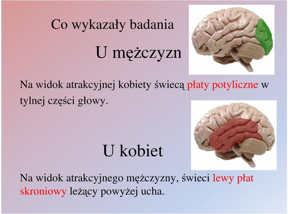 tylnej części głowy.