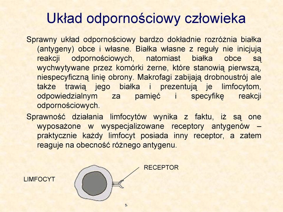 obrony. Makrofagi zabijają drobnoustrój ale także trawią jego białka i prezentują je limfocytom, odpowiedzialnym za pamięć i specyfikę reakcji odpornościowych.