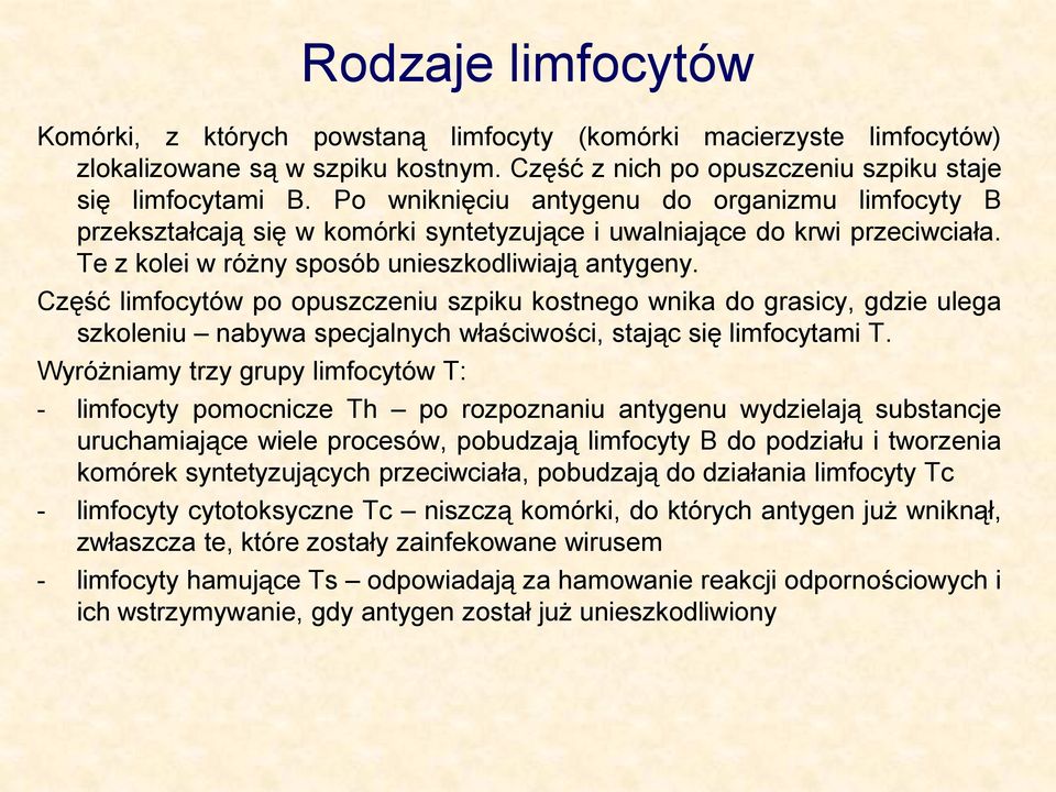 Część limfocytów po opuszczeniu szpiku kostnego wnika do grasicy, gdzie ulega szkoleniu nabywa specjalnych właściwości, stając się limfocytami T.