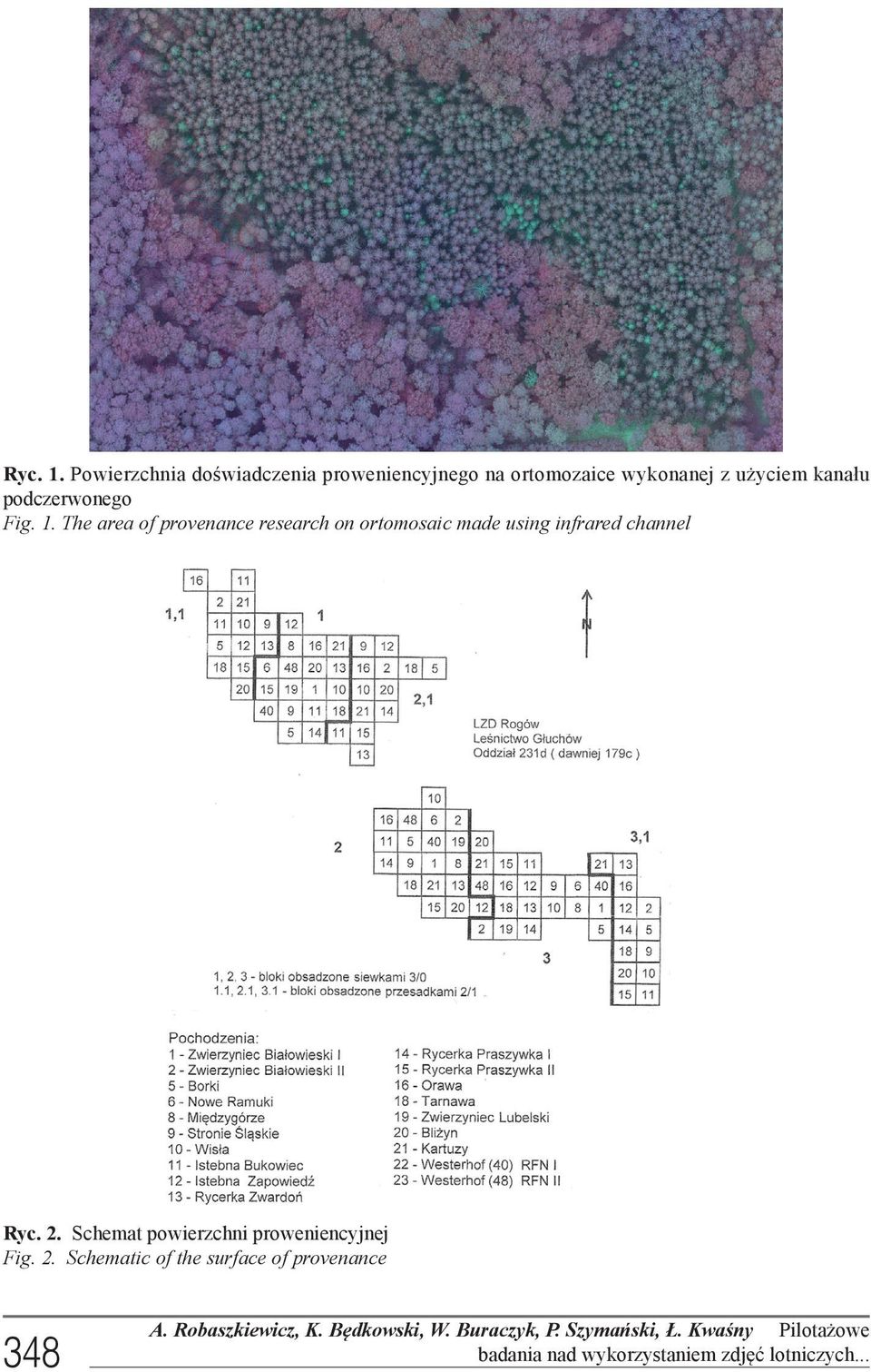 Fig. 1. The area of provenance research on ortomosaic made using infrared channel Ryc. 2.