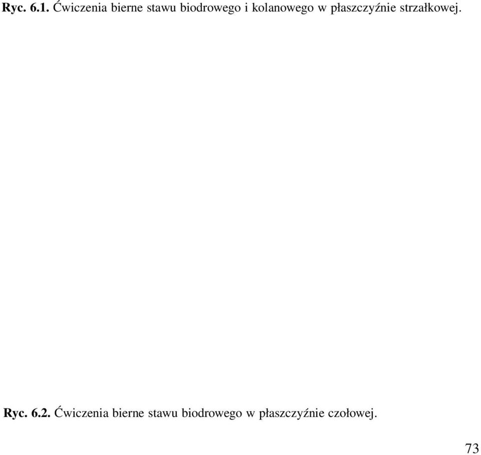 kolanowego w płaszczyźnie strzałkowej.