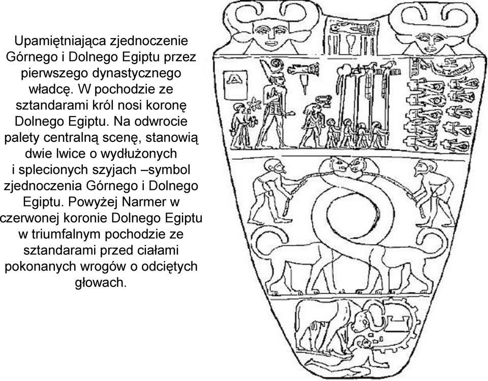 Na odwrocie palety centralną scenę, stanowią dwie lwice o wydłużonych i splecionych szyjach symbol