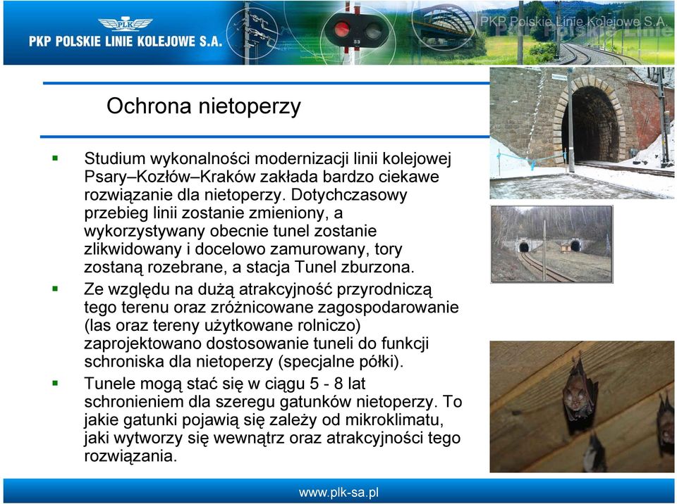 Ze względu na dużą atrakcyjność przyrodniczą tego terenu oraz zróżnicowane zagospodarowanie (las oraz tereny użytkowane rolniczo) zaprojektowano dostosowanie tuneli do funkcji