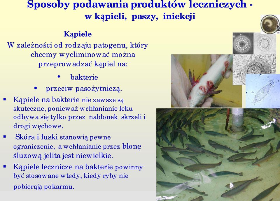 piele na bakterie nie zawsze s skuteczne, poniewa wch anianie leku odbywa si tylko przez nab onek skrzeli i drogi w chowe.