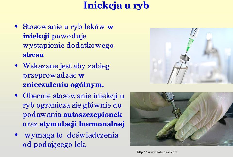 Obecnie stosowanie iniekcji u ryb ogranicza si g ównie do podawania