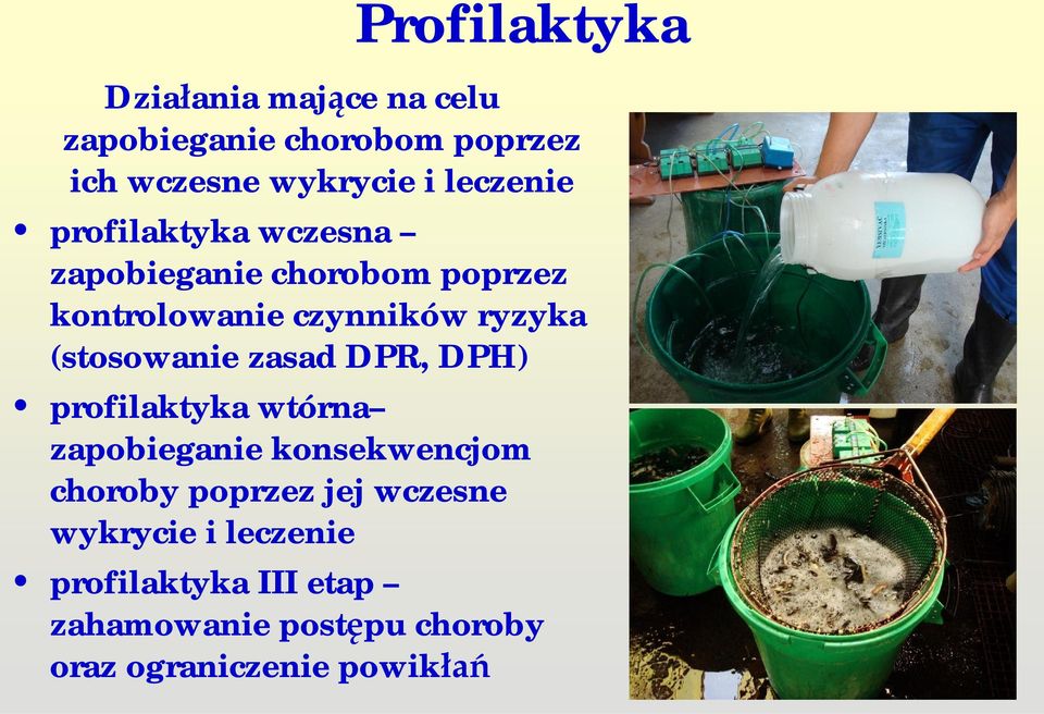 (stosowanie zasad DPR, DPH) profilaktyka wtórna zapobieganie konsekwencjom choroby poprzez jej