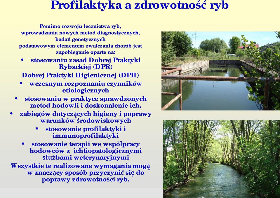 praktyce sprawdzonych metod hodowli i doskonalenie ich, zabiegów dotycz cych higieny i poprawy warunków rodowiskowych stosowanie profilaktyki i immunoprofilaktyki